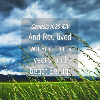 Picture 04 - Genesis 11:20 KJV - And Reu lived two and thirty years, and begat - Bible Verse Picture