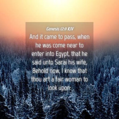 Picture 04 - Genesis 12:11 KJV - And it came to pass, when he was come near to - Bible Verse Picture