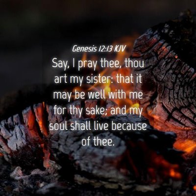 Picture 04 - Genesis 12:13 KJV - Say, I pray thee, thou art my sister: that it may - Bible Verse Picture