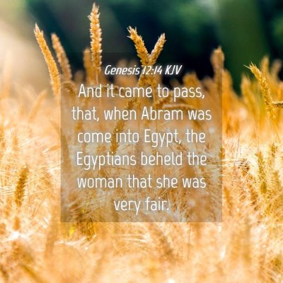 Picture 04 - Genesis 12:14 KJV - And it came to pass, that, when Abram was come - Bible Verse Picture