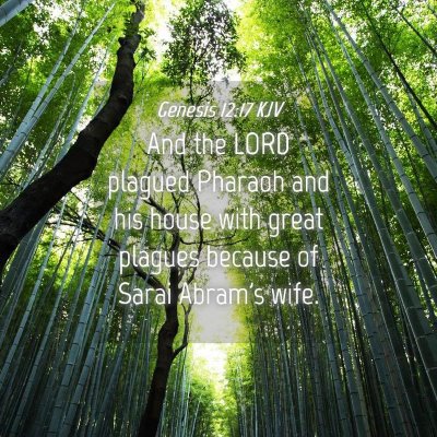 Picture 04 - Genesis 12:17 KJV - And the LORD plagued Pharaoh and his house with - Bible Verse Picture