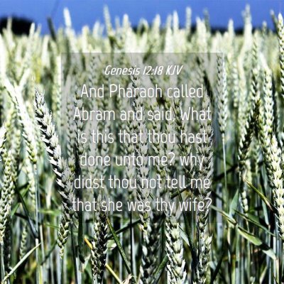 Picture 04 - Genesis 12:18 KJV - And Pharaoh called Abram and said, What is this - Bible Verse Picture