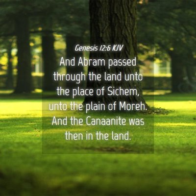Picture 04 - Genesis 12:6 KJV - And Abram passed through the land unto the place - Bible Verse Picture