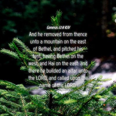 Picture 04 - Genesis 12:8 KJV - And he removed from thence unto a mountain on the - Bible Verse Picture