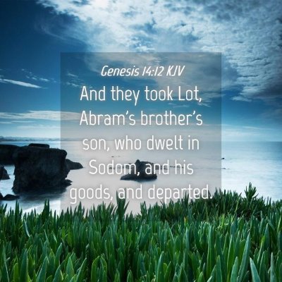 Picture 04 - Genesis 14:12 KJV - And they took Lot, Abram's brother's son, who - Bible Verse Picture
