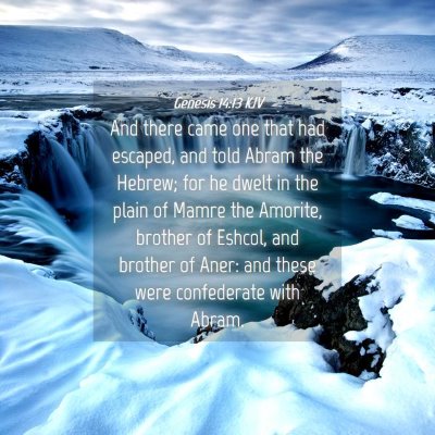 Picture 04 - Genesis 14:13 KJV - And there came one that had escaped, and told - Bible Verse Picture