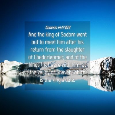 Picture 04 - Genesis 14:17 KJV - And the king of Sodom went out to meet him after - Bible Verse Picture