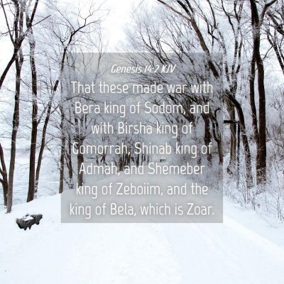 Picture 04 - Genesis 14:2 KJV - That these made war with Bera king of Sodom, and - Bible Verse Picture