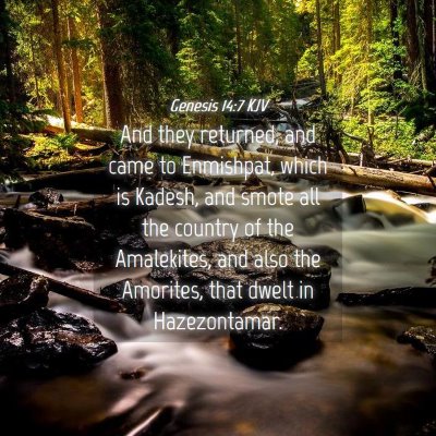 Picture 04 - Genesis 14:7 KJV - And they returned, and came to Enmishpat, which - Bible Verse Picture