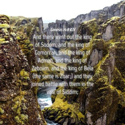 Picture 04 - Genesis 14:8 KJV - And there went out the king of Sodom, and the - Bible Verse Picture