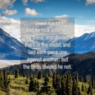 Picture 04 - Genesis 15:10 KJV - And he took unto him all these, and divided them - Bible Verse Picture