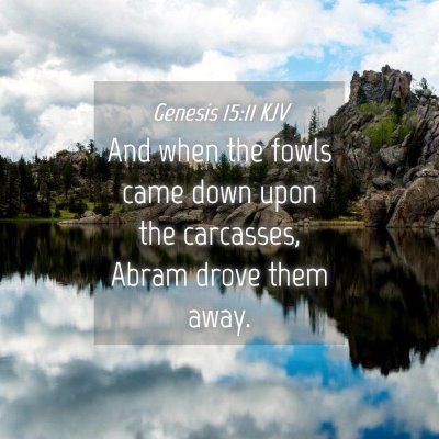 Picture 04 - Genesis 15:11 KJV - And when the fowls came down upon the carcasses, - Bible Verse Picture