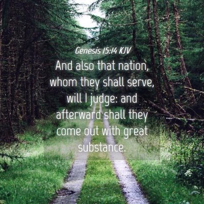Picture 04 - Genesis 15:14 KJV - And also that nation, whom they shall serve, will - Bible Verse Picture