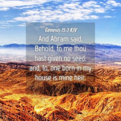 Picture 04 - Genesis 15:3 KJV - And Abram said, Behold, to me thou hast given no - Bible Verse Picture