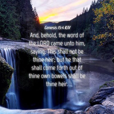 Picture 04 - Genesis 15:4 KJV - And, behold, the word of the LORD came unto him, - Bible Verse Picture