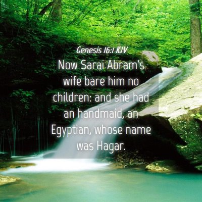 Picture 04 - Genesis 16:1 KJV - Now Sarai Abram's wife bare him no children: and - Bible Verse Picture