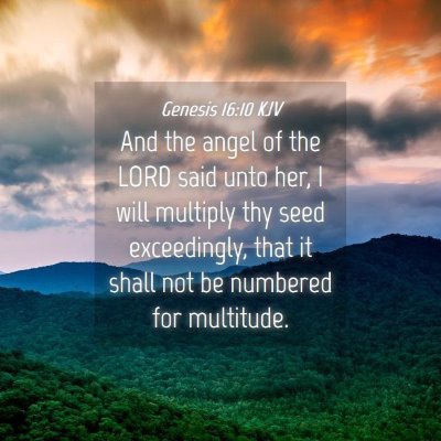 Picture 04 - Genesis 16:10 KJV - And the angel of the LORD said unto her, I will - Bible Verse Picture