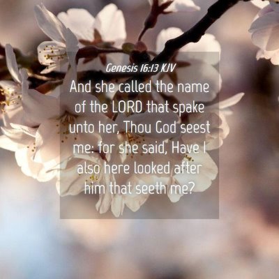 Picture 04 - Genesis 16:13 KJV - And she called the name of the LORD that spake - Bible Verse Picture