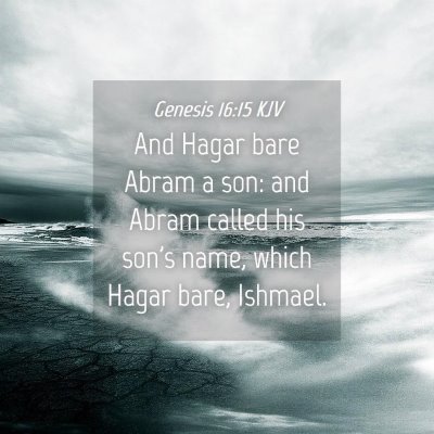 Picture 04 - Genesis 16:15 KJV - And Hagar bare Abram a son: and Abram called his - Bible Verse Picture