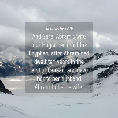 Picture 04 - Genesis 16:3 KJV - And Sarai Abram's wife took Hagar her maid the - Bible Verse Picture