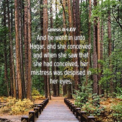 Picture 04 - Genesis 16:4 KJV - And he went in unto Hagar, and she conceived: and - Bible Verse Picture