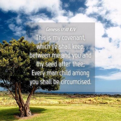 Picture 04 - Genesis 17:10 KJV - This is my covenant, which ye shall keep, between - Bible Verse Picture