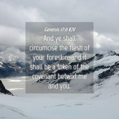 Picture 04 - Genesis 17:11 KJV - And ye shall circumcise the flesh of your - Bible Verse Picture