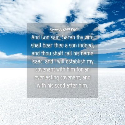 Picture 04 - Genesis 17:19 KJV - And God said, Sarah thy wife shall bear thee a - Bible Verse Picture