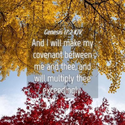 Picture 04 - Genesis 17:2 KJV - And I will make my covenant between me and thee, - Bible Verse Picture