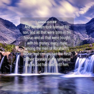 Picture 04 - Genesis 17:23 KJV - And Abraham took Ishmael his son, and all that - Bible Verse Picture