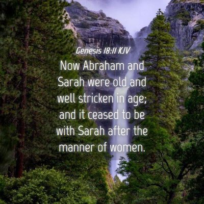 Picture 04 - Genesis 18:11 KJV - Now Abraham and Sarah were old and well stricken - Bible Verse Picture