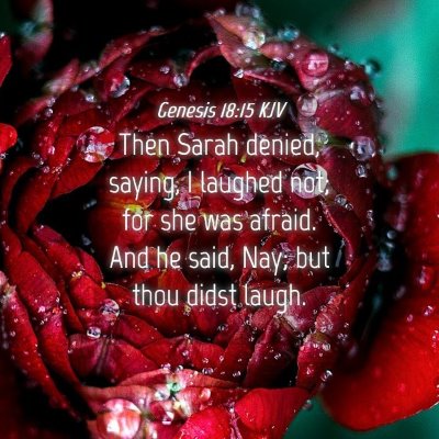 Picture 04 - Genesis 18:15 KJV - Then Sarah denied, saying, I laughed not; for she - Bible Verse Picture