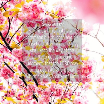 Picture 04 - Genesis 18:19 KJV - For I know him, that he will command his children - Bible Verse Picture