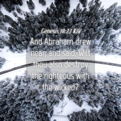 Picture 04 - Genesis 18:23 KJV - And Abraham drew near, and said, Wilt thou also - Bible Verse Picture
