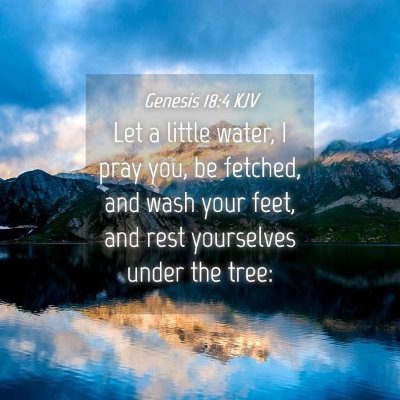 Picture 04 - Genesis 18:4 KJV - Let a little water, I pray you, be fetched, and - Bible Verse Picture