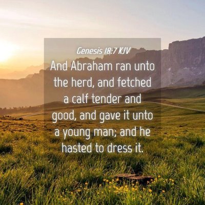 Picture 04 - Genesis 18:7 KJV - And Abraham ran unto the herd, and fetched a calf - Bible Verse Picture