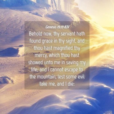 Picture 04 - Genesis 19:19 KJV - Behold now, thy servant hath found grace in thy - Bible Verse Picture