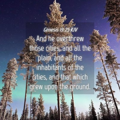 Picture 04 - Genesis 19:25 KJV - And he overthrew those cities, and all the plain, - Bible Verse Picture