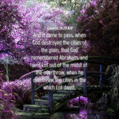 Picture 04 - Genesis 19:29 KJV - And it came to pass, when God destroyed the - Bible Verse Picture
