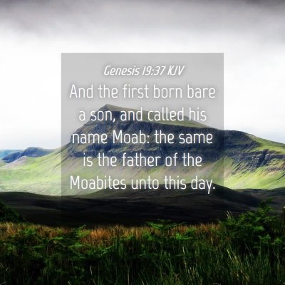 Picture 04 - Genesis 19:37 KJV - And the first born bare a son, and called his - Bible Verse Picture