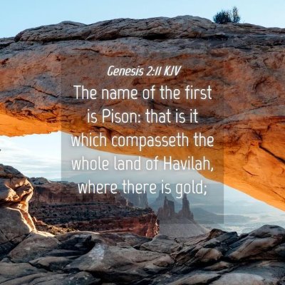 Picture 04 - Genesis 2:11 KJV - The name of the first is Pison: that is it which - Bible Verse Picture