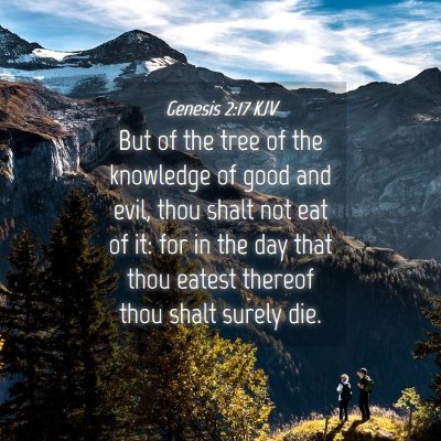 Picture 04 - Genesis 2:17 KJV - But of the tree of the knowledge of good and - Bible Verse Picture