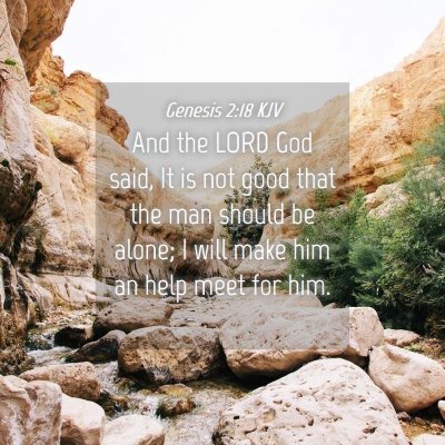 Picture 04 - Genesis 2:18 KJV - And the LORD God said, It is not good that the - Bible Verse Picture