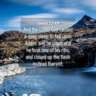 Picture 04 - Genesis 2:21 KJV - And the LORD God caused a deep sleep to fall upon - Bible Verse Picture