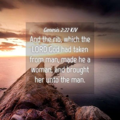 Picture 04 - Genesis 2:22 KJV - And the rib, which the LORD God had taken from - Bible Verse Picture