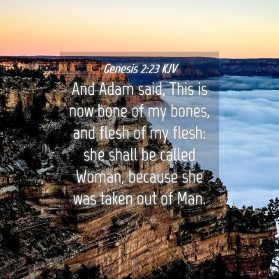 Picture 04 - Genesis 2:23 KJV - And Adam said, This is now bone of my bones, and - Bible Verse Picture