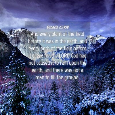 Picture 04 - Genesis 2:5 KJV - And every plant of the field before it was in the - Bible Verse Picture