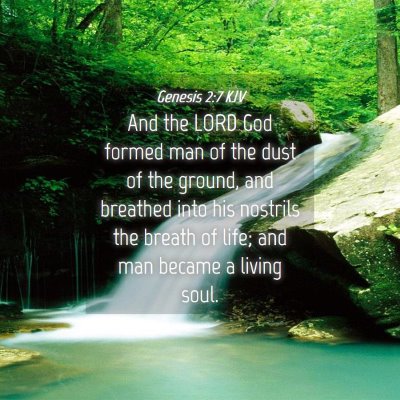 Picture 04 - Genesis 2:7 KJV - And the LORD God formed man of the dust of the - Bible Verse Picture