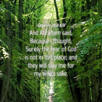 Picture 04 - Genesis 20:11 KJV - And Abraham said, Because I thought, Surely the - Bible Verse Picture