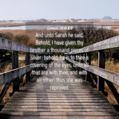 Picture 04 - Genesis 20:16 KJV - And unto Sarah he said, Behold, I have given thy - Bible Verse Picture